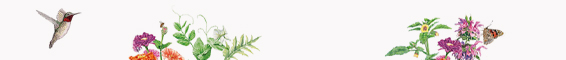 A vertical strip of a bird and flowers