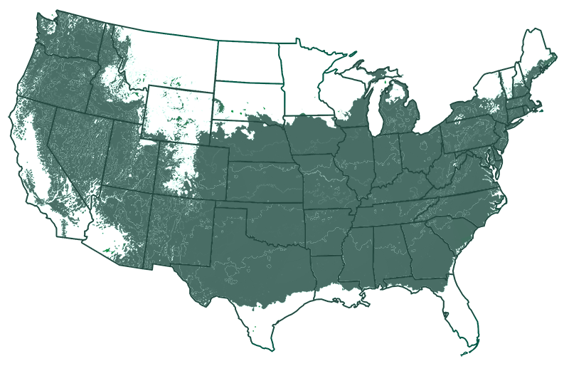5-8 outdoors map
